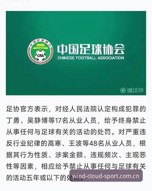 足协重拳出击！第三批禁足名单实用解读，风云体育用户必备的观赛指南